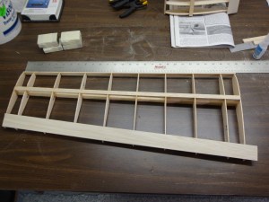 One Wing Skeleton 1-8-13