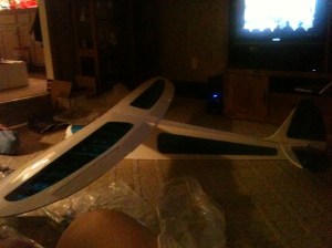 Assembled Rascal 4-6-13