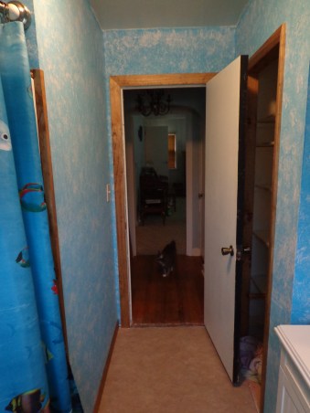 Almost Finished Bathroom Door