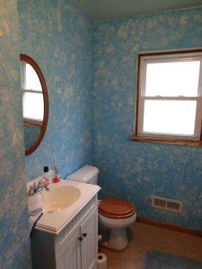 Almost Finished Bathroom Toilet