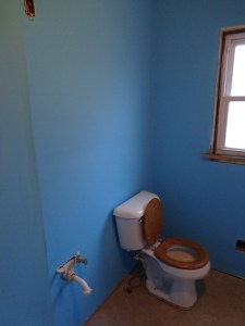 Painted Bathroom Toilet