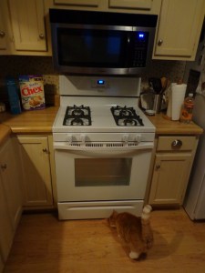 Kitchen Stove