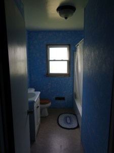 Painted Bathroom