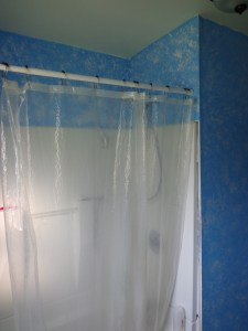 Painted Bathroom Shower