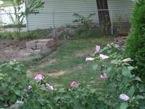 Pile of Pavers 8-30-13