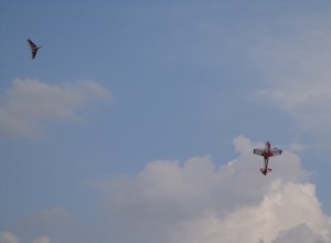 Stryker Flying Circles