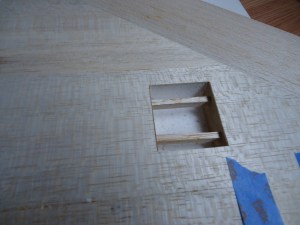 A4 Wing Servo Cutout