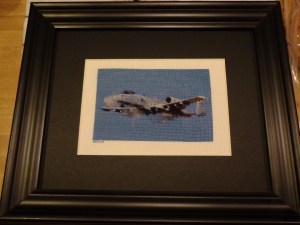 Warthog Framed 12-24-13