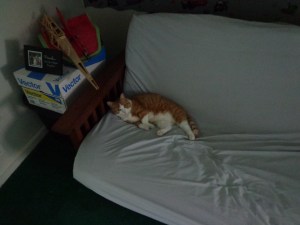 Chester's Futon