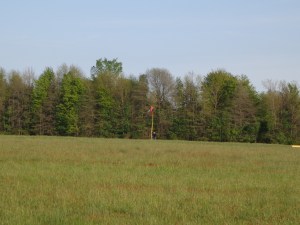 Cub in Windsock 5-24-14