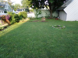 Fire Pit Area 6-27-14