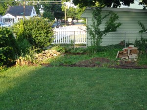 Firepit Area 6-27-14