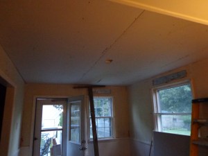 Dining Room Ceiling - 1