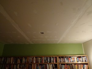 Library Ceiling - 1