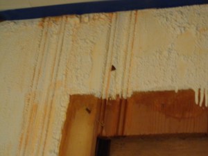 Library Wall Stripping - 1