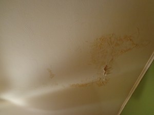 Library Water Damage - 2