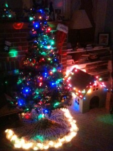 CNC Router Cat House with lights