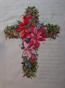 Winter Cross 1-24-15