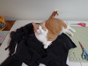 Chester the Superviosr