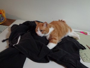 Sewing Room Supervisor - Chester
