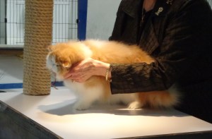 Checking the roundness