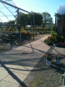 Garden Center Outside