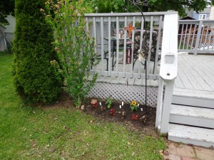 Back Door Garden After 5-24-15