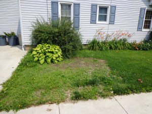 Driveway Before Pavers 7-4-15
