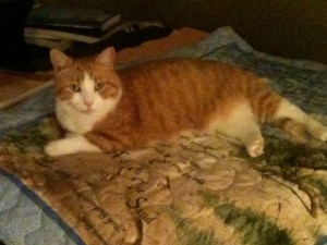 Chester on the piano