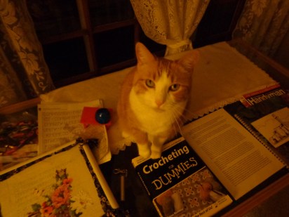 Chester - Mama pay attention to me