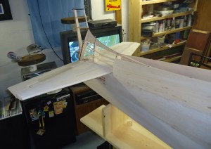 Ziroli A-1 Tail 10-19-15