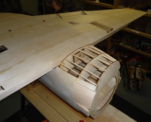 Ziroli A-1 Wing Pokey Thing Mounted 12-10-15