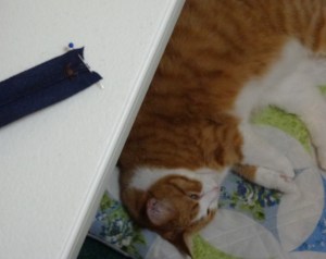 Karen's Pillow - Shortening Zipper