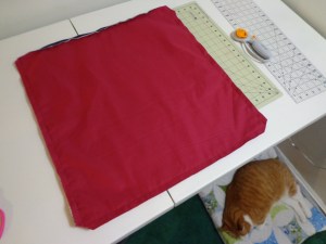 Karen's Pillow - Trim Corners