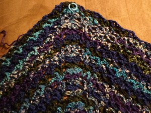 Astroflora Shawl Detail - 3-5-16