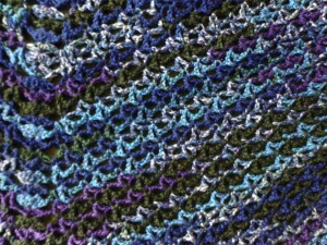 Astroflora Shawl Detail 4-2-16