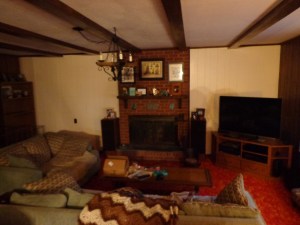 Droof's Living Room - After