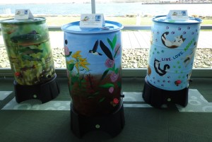 Painted Rain Barrels - Cats