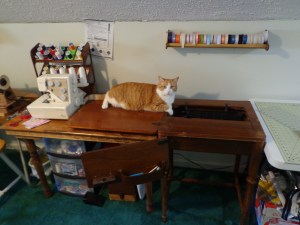 Chester Helping with Sewing Machine - 6-25-16