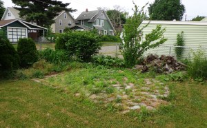 Fire Pit Area 6-4-16