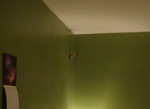 Front Porch - Bedroom Wall - Hole