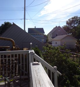 Shed - Tree Is Gone - 7-16-16