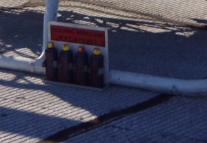 Batcopter Bat Sprays 9-3-16