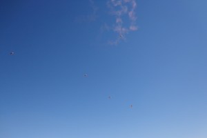 Golden Knights 9-3-16