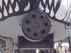 Warthog Teeth 9-3-16