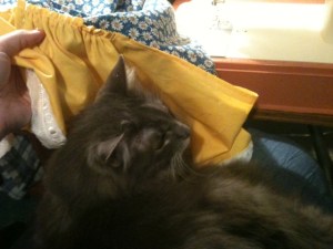 bob-helping-to-sew-10-21-16