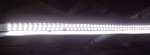 led-basement-lights