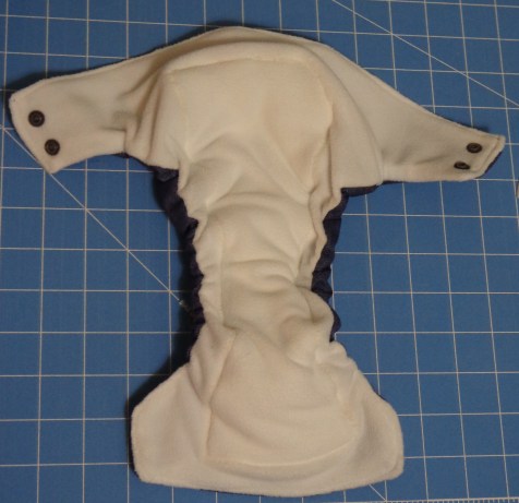 First Cloth Diaper - Inside 7-16-17