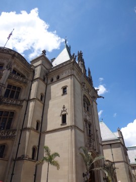 Looking Up - Biltmore 7-6-17