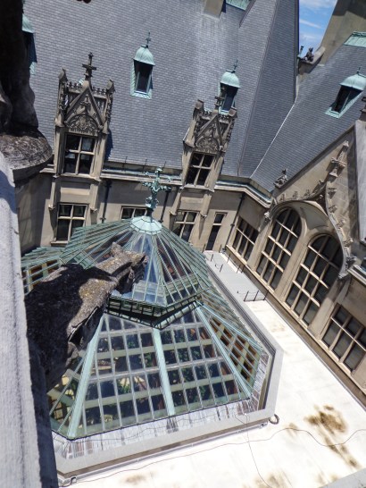 Winter Garden Roof - Biltmore 7-6-17